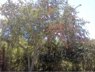 0 0 Unit 642102, Cocoa, FL 32926
