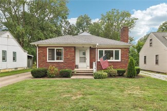 270 Chestnut St, Painesville, OH 44077