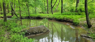 TBD Maple Run, Fairmont, WV 26554