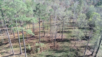 0 County Road 51 Unit 21646294, Wilsonville, AL 35186