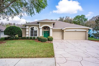 8031 Maidencane Dr, Trinity, FL 34655