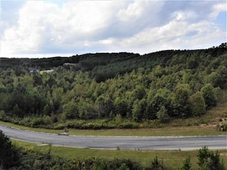Lot 13 Stonechase Ln, Cohutta, GA 30710