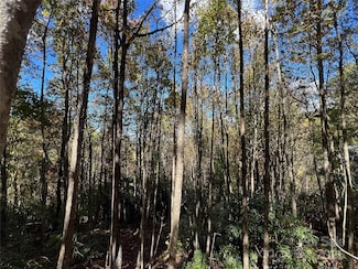 0 Wild Magnolia Way Unit 46, Zirconia, NC 28790