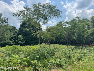 lot 528 Muskie Way, Scottsville, KY 42164