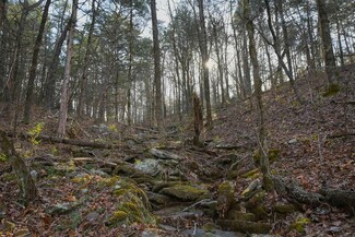 7.5 acres Mountain Meadows, Shirley, AR 72153
