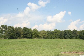 Lot 4 Woodland Park, Billings, MO 65610