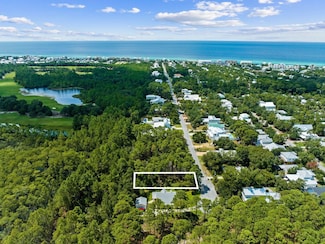 Lot 2 Seacrest Dr, Inlet Beach, FL 32461