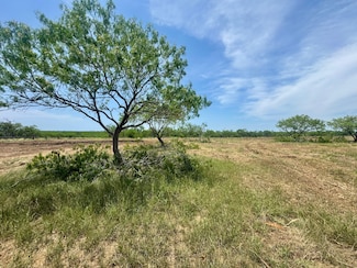 Tbd Cr 171, Nixon, TX 78140