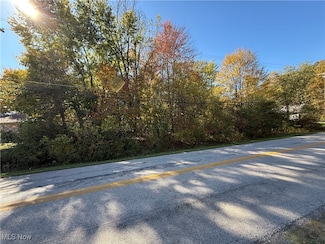 0 Rome Rock Creek Rd Unit 5166696, Roaming Shores, OH 44084