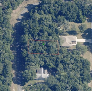 1194 W Virginis Dr, Citrus Springs, FL 34434