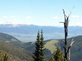 Lot 40 Crown Point Lode, Pony, MT 59747