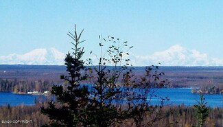5347 S Old Burma Rd, Big Lake, AK 99654