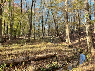 -- Bobby Faucette Rd, Jonesville, SC 29353