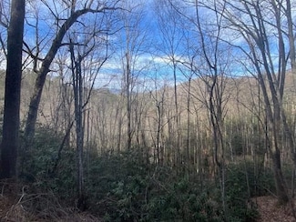 Lot D-3 Briggs Cove Rd, Robbinsville (Graham), NC 28771