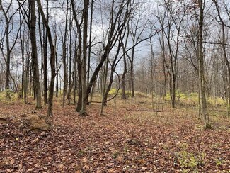 0 Dozer Rd SW Unit 224041576, Stoutsville, OH 43154