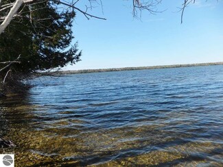 0001 Deadstream Rd, Honor, MI 49640