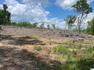 0 County Rd Unit Vacant 21385217, Alexander City, AL 35010