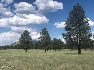 2700 Forrest Ranches Loop, Parks, AZ 86018