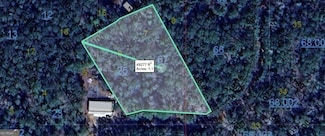 1 +/- Ac Chief Rd, Abbeville, AL 36310