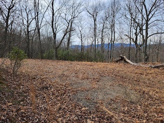 00 Highlands Pass Trail, Franklin, NC 28734