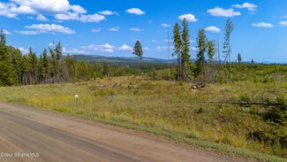 Lot 8 Sportsman, St. Maries, ID 83861
