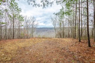 0 Split Rail Way Unit 1510051, Guild, TN 37340
