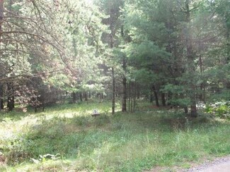 Lot 5 Whispering Pines Ln, Sayner, WI 54560