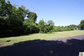 000 State Route 534, Symsonia, KY 42082