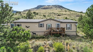 1711 Witcher Mountain Rd, Guffey, CO 80820