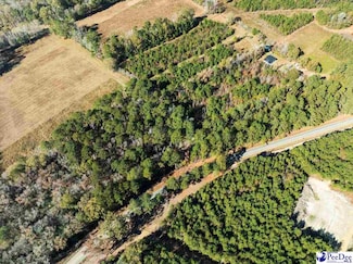 TBD Heatherwood Rd, Marion, SC 29571