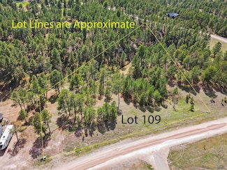 TBD Frontier Loop Unit Lot 109, Piedmont, SD 57769