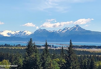 4615 Craftsman Rd, Homer, AK 99603