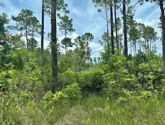 116 SW 1st Ave, Palatka, FL 32177