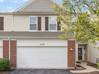 8529 Sawyer Ct, Joliet, IL 60431
