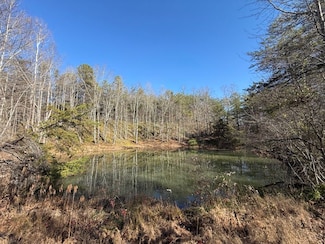 Wild Dog Creek Lot Unit Wp 1415 & 16, Tyner, KY 40486