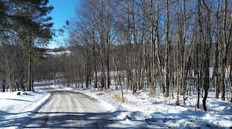 0 Mountain View Rd, Windham, NY 12496