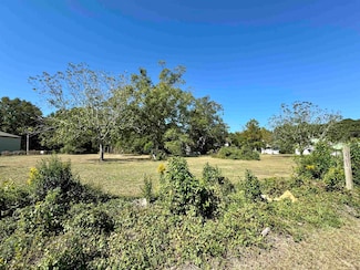 103 W Paulk Ave, Opp, AL 36467