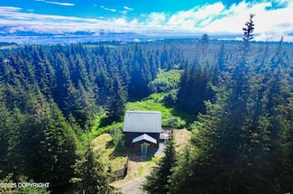 41237 Heather St, Homer, AK 99603