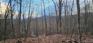 4 Lots Seay Mountain Rd, Waynesville, NC 28785
