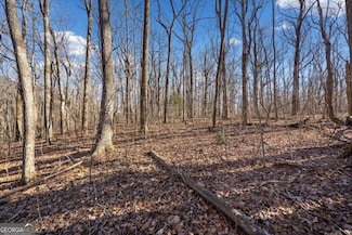 0 St Andrews Unit 10436350, Ellijay, GA 30536