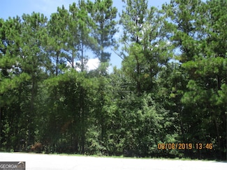 8641 Hopewell Rd, Lizella, GA 31052