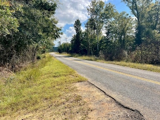 Mt Ida Rd, Brantley, AL 36009