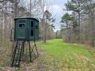 4627 Race Track Rd, West, MS 39192