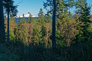 1602 N Bluff Rd, Greenbank, WA 98253