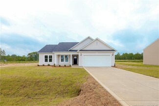 53 Dalmation Ln, Parkton, NC 28371