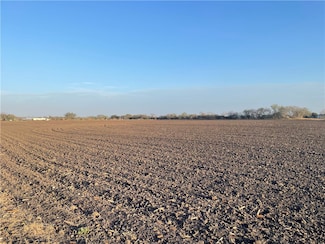 Lot 1 County Road 732, Saint Paul, TX 78387