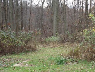 0 Palmer Rd Unit 3768320, Kimbolton, OH 43749