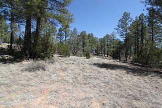 4796 Urias Rd Unit 6, Clay Springs, AZ 85923
