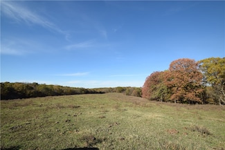 11015 E State Highway 90, Pineville, MO 64856