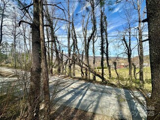 00 Woodlyn Etch Dr Unit 1, Edneyville, NC 28792